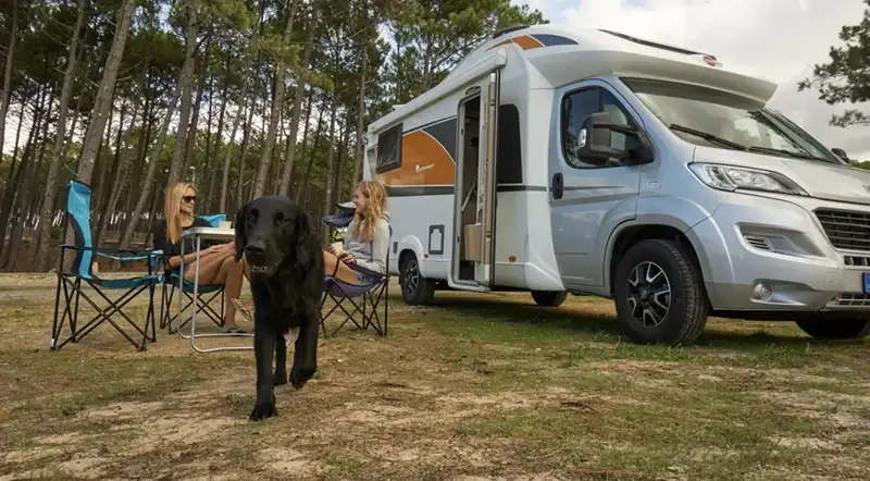 Pet-friendly campervan rentals in Ireland
