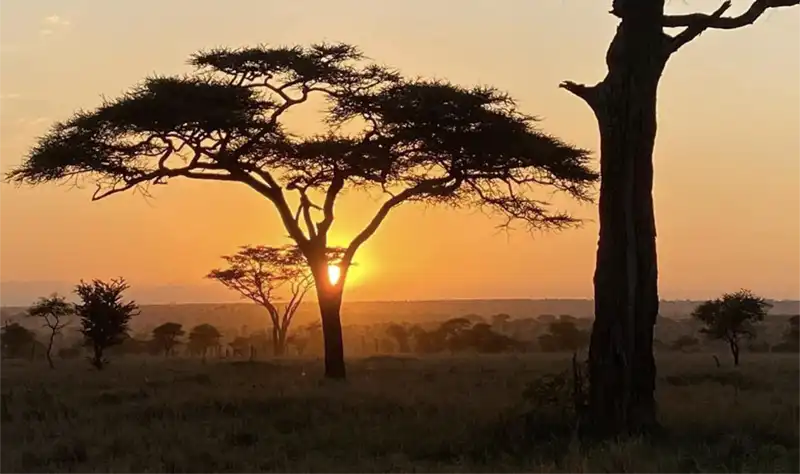 Sunset in the Serengeti Tanzania 4X4 hire
