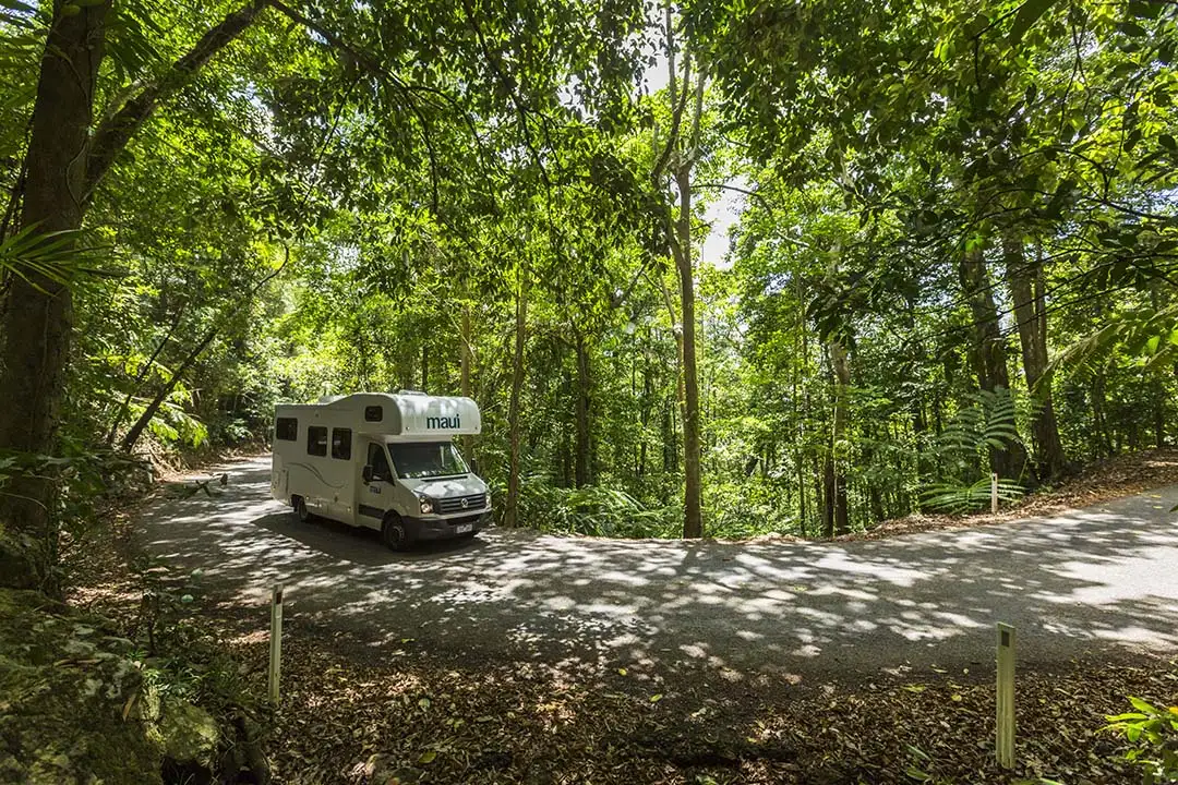 Australia Luxury Motorhome Hire travelling through the forest